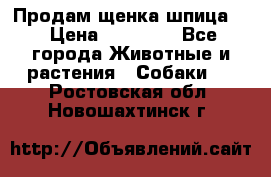 Продам щенка шпица.  › Цена ­ 15 000 - Все города Животные и растения » Собаки   . Ростовская обл.,Новошахтинск г.